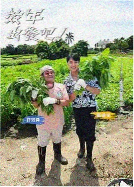 青苹果影视 乘风破浪